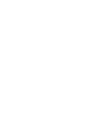 wordpress-white-logo